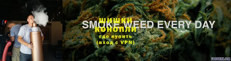 Бошки Шишки THC 21%  Бабаево 